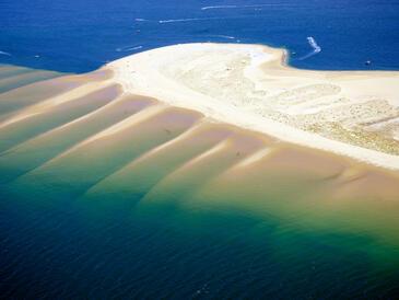 Banc d'Arguin,Bassin d'Arcachon © Etienne Pierart
